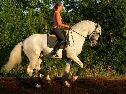 hard horse riding - www.faberstroy.ru.