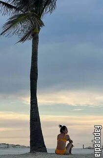 Leaks  Photo 3049627. 