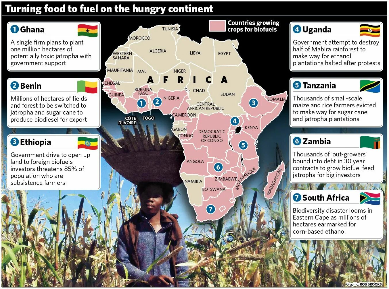 Land in Africa. Африка на мировой сцене политика. South Africa biofuel. Экспорт Танзании. A growing country