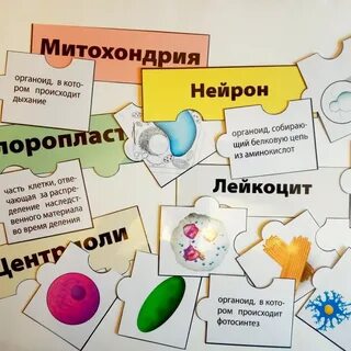 Магазин педагогических идей