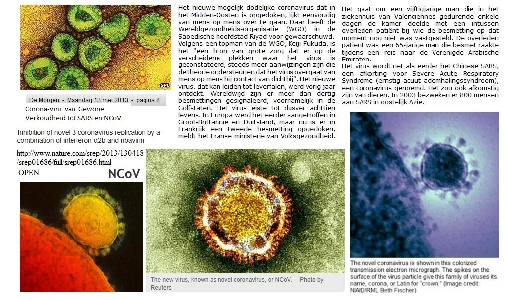 Коронавирус. Коронавирус и другие вирусы. Коронавирус краткое сообщение. Возникновение коронавируса.
