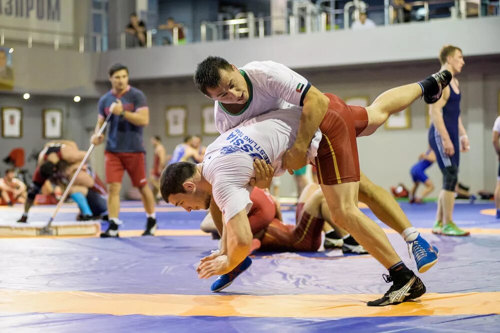 тренировка в борцовском зале. сборная по греко-римской борьбе. сборы по борьбе. вольная борьба новосибирск. чухалов магомед борец.