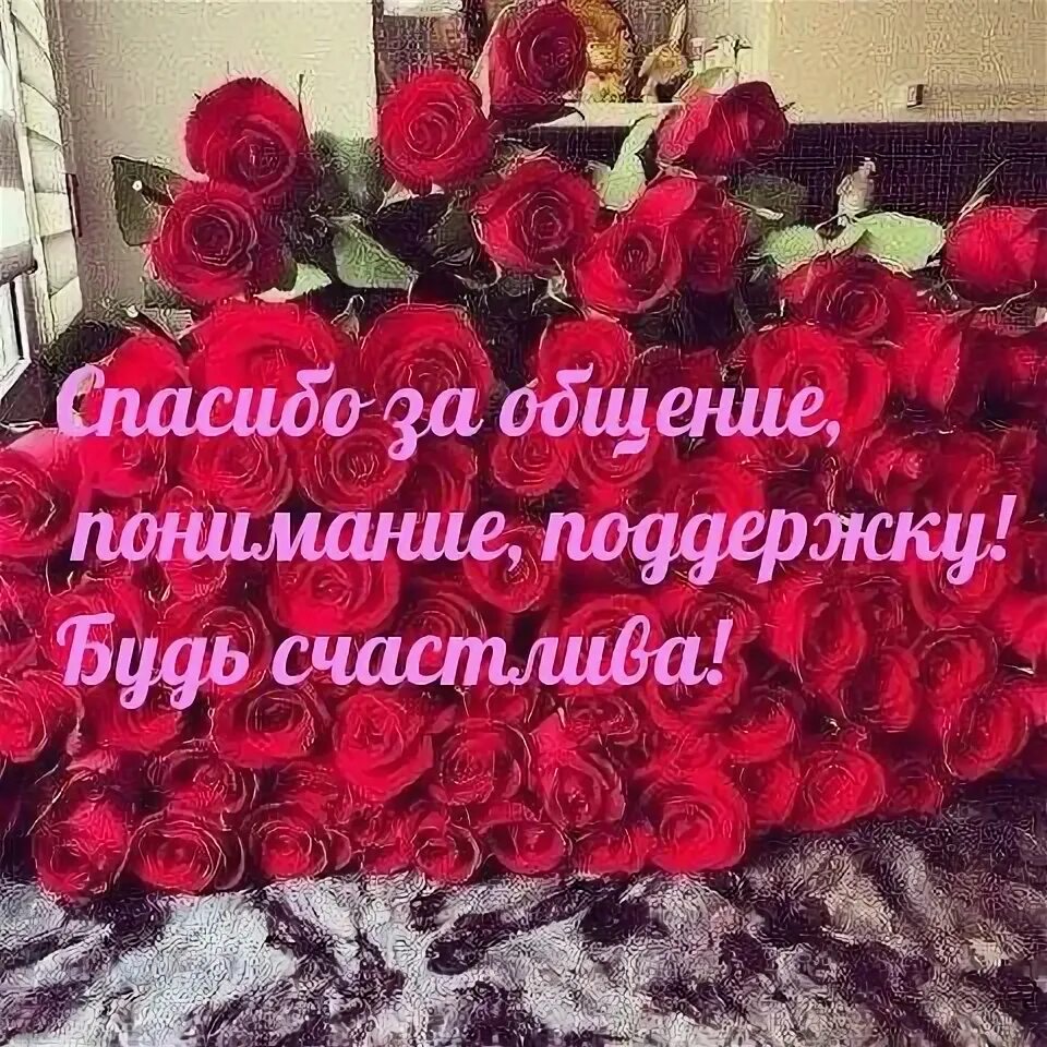 Спасибо за то что меня поддерживают. Открытка с благодарностью за поддержку. спасибо за поддержку и понимание. благодарю за поддержку и понимание. слова благодарности за поддержку в открытках.