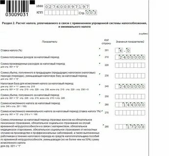 Страховые взносы в декларации по прибыли