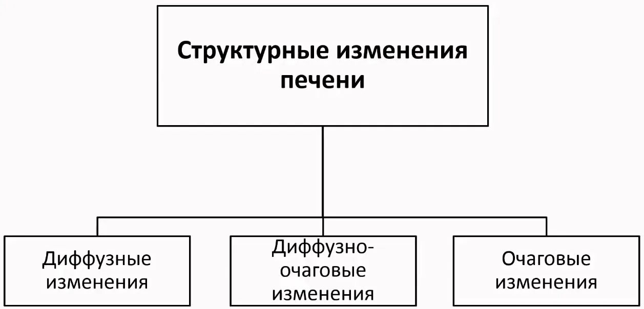 Структурные изменения печени