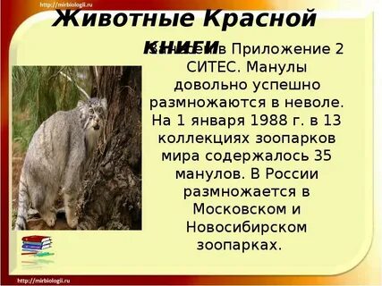 Водные животные международной красной книги