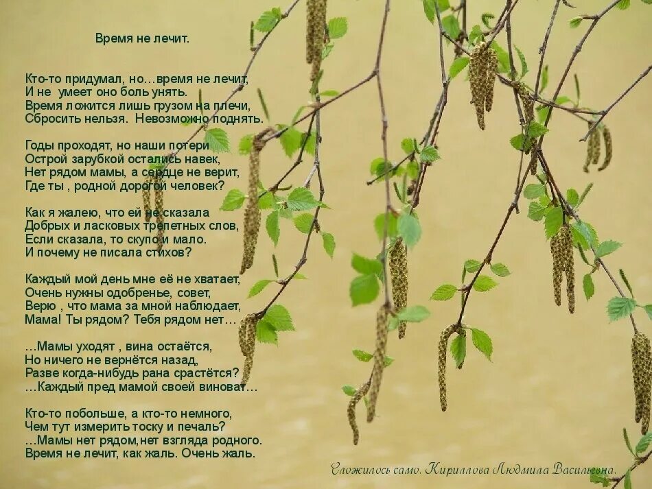 Такая жизнь время не лечит. Стих время не лечит. стих время лечит. а время не лечит время просто проходит. время не лечит лечит не время.