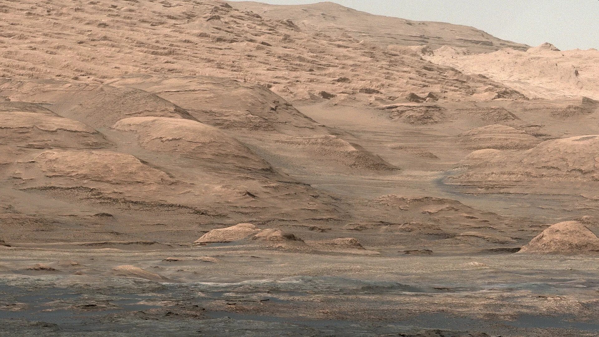 Mars net