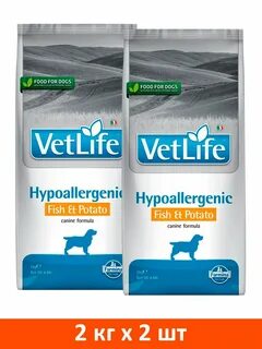 Vet life dog