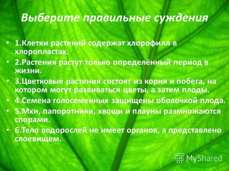 выберите правильные суждения