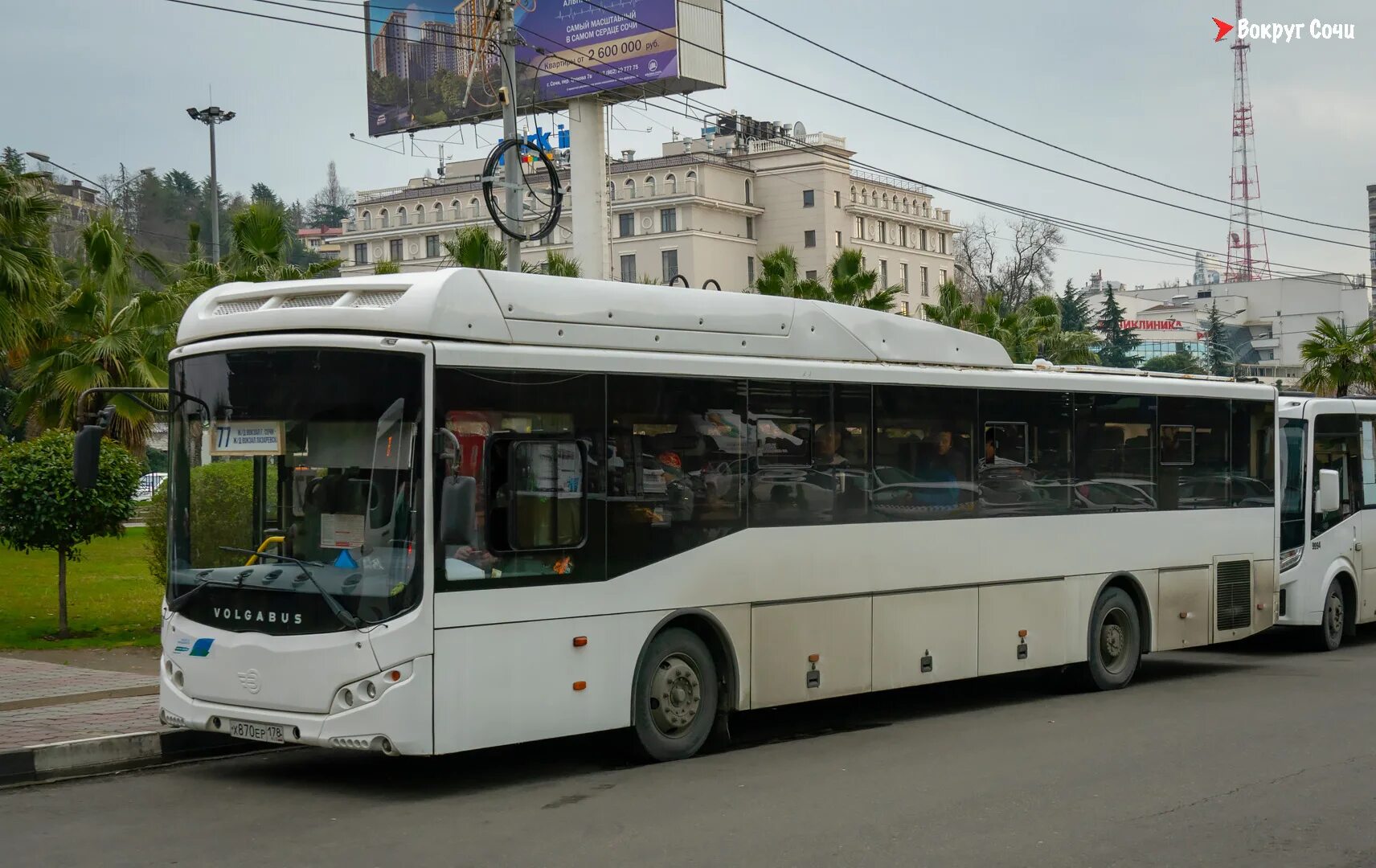 Автобус ЛИАЗ Сочи. Сочи Мамайка ЛИАЗ. Сочи автобус 12 ЛИАЗ. Сочи автобус Mercedes 085. Сайт автобусов сочи