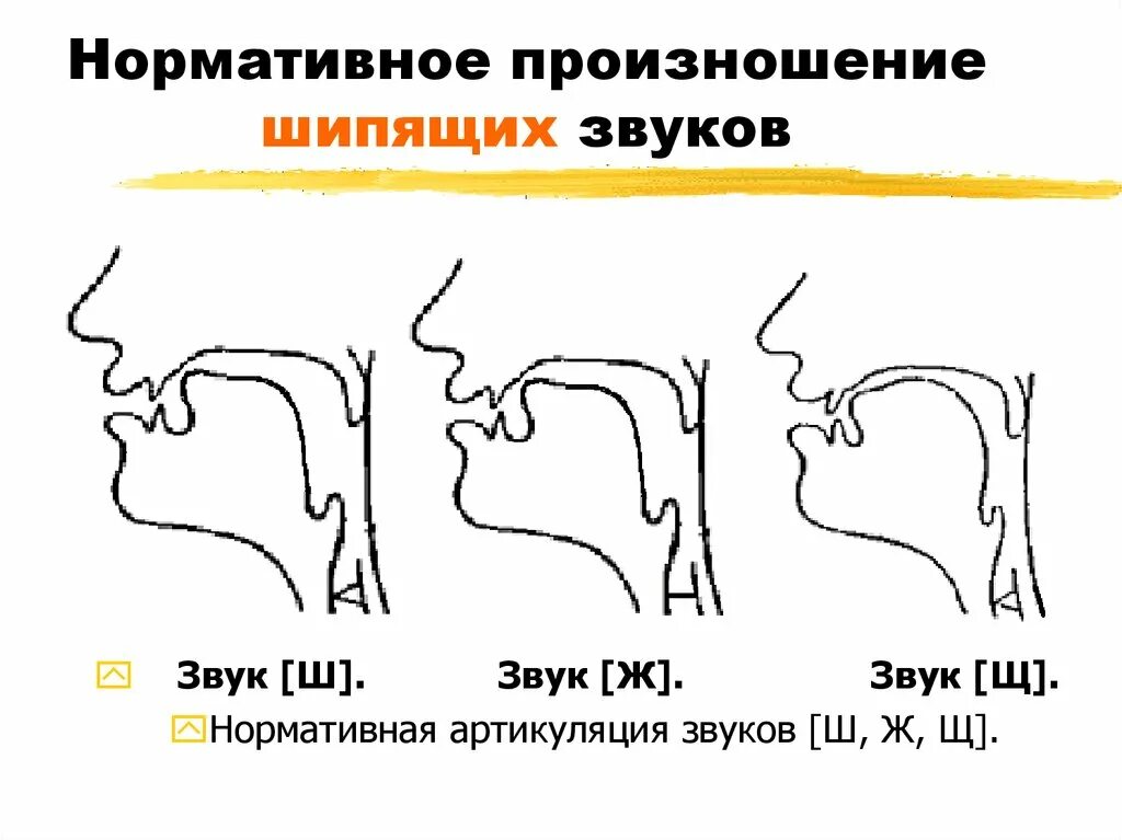 Шум ш