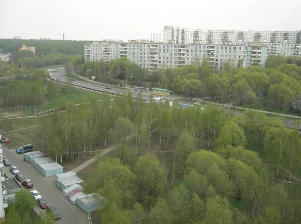 Ясенево Голубинская улица. Пруд в Ясенево на Голубинской улице. Москва Голубинская. Голубинская улица 2000 годов. Ясенево ул голубинская