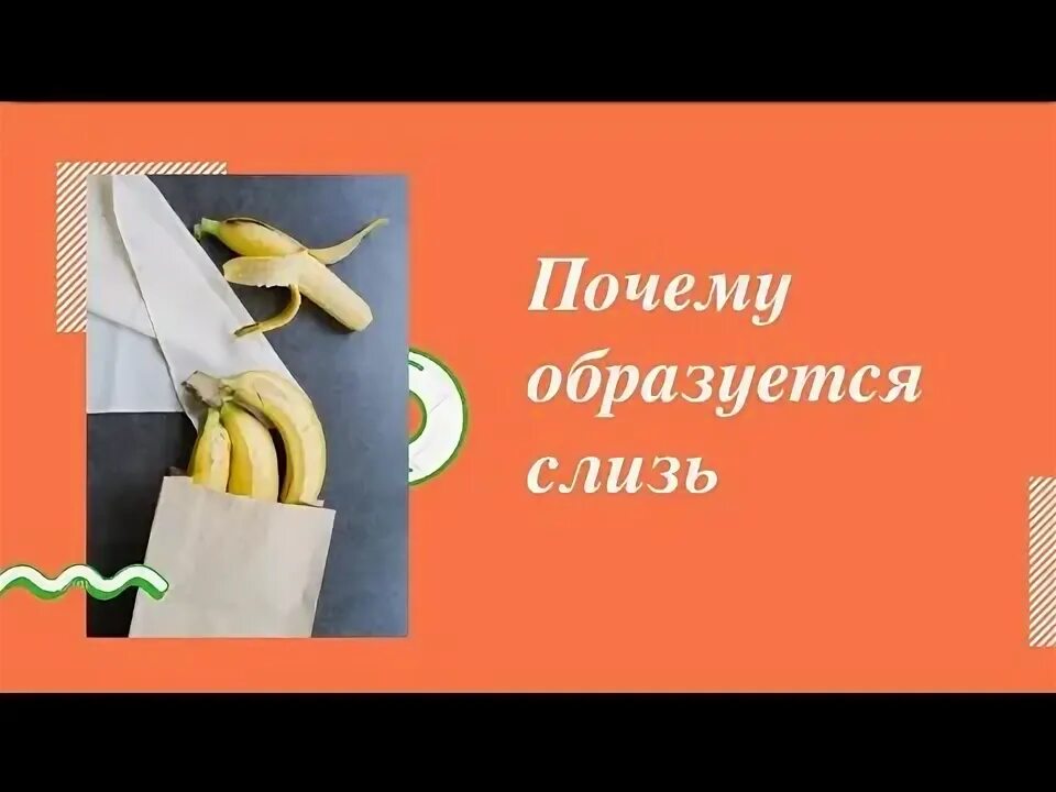 В воде образуется слизь. В воде образуется слизь