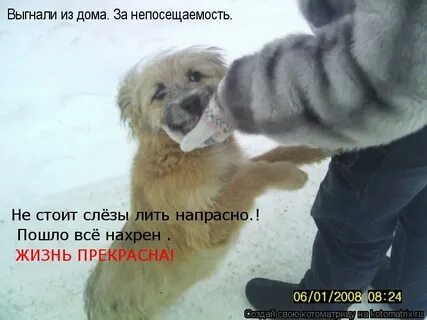 Девочки слезы напрасно не льют