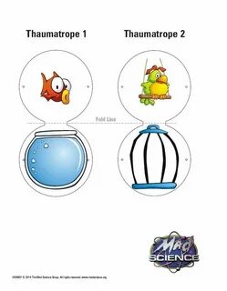 Тауматроп