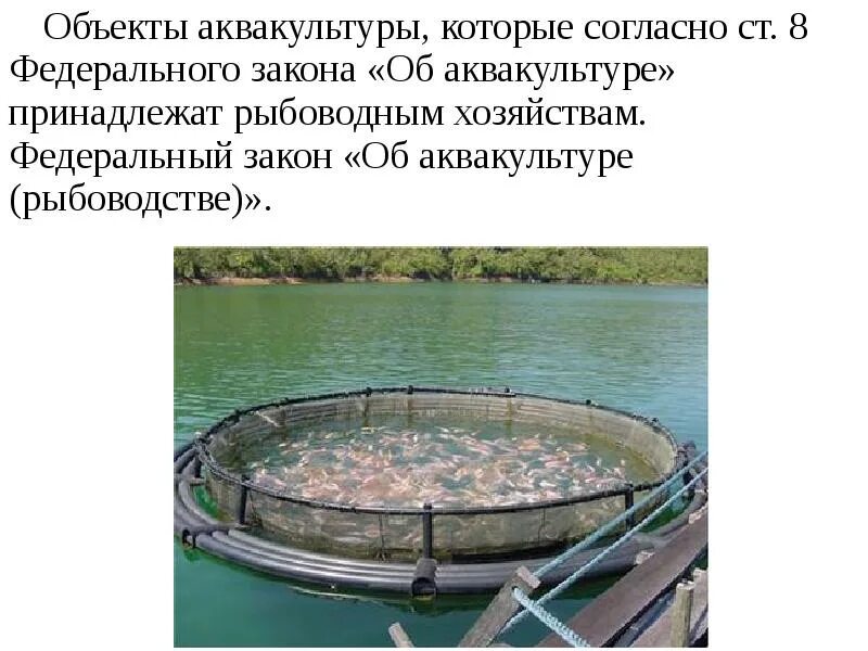 Прудовое рыбоводство. Рыбоводство фз. Журнал "рыбоводство" 1/2011. Федеральный закон об аквакультуре. Законодательство о рыбной ловле.