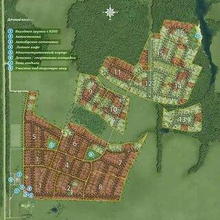 План шаховской