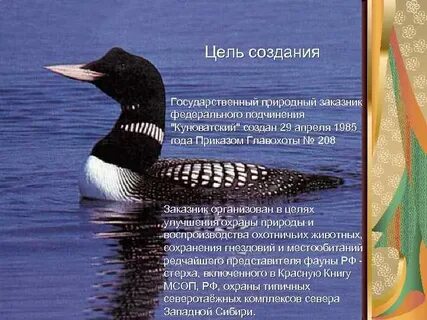 Северная птица 6 букв