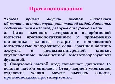 Шиповник противопоказания