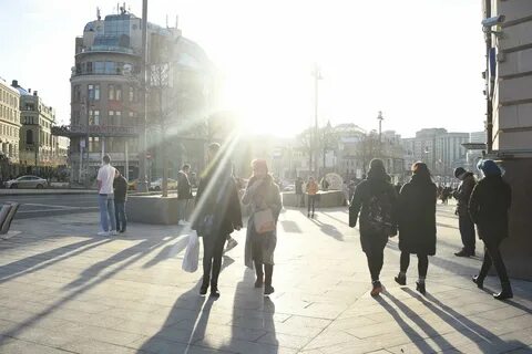 8 градусов москва