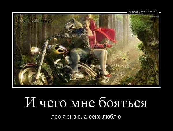 Красная Шапочка Дорогу Знаю Секс Люблю