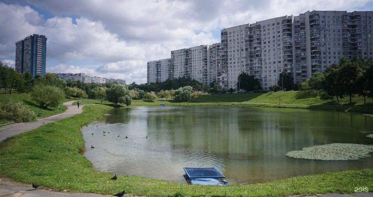 Москва Ясеневские пруды. Три пруда в Ясенево. Паустовского пруды. Пруд в Ясенево на Голубинской улице. Бутово тарусская