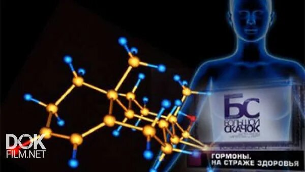 Могут ли гормоны скакать. Гормоны скачут. гормоны здоровьем ярлык. на страже здоровья. гормоны скачут картинка.