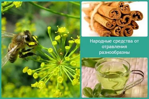 Интоксикация народные средства