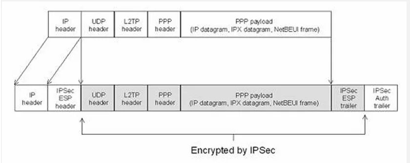 L2tp ipsec android. Структура протокола l2tp. L2tp протокол. L2tp/IPSEC. L2tp.