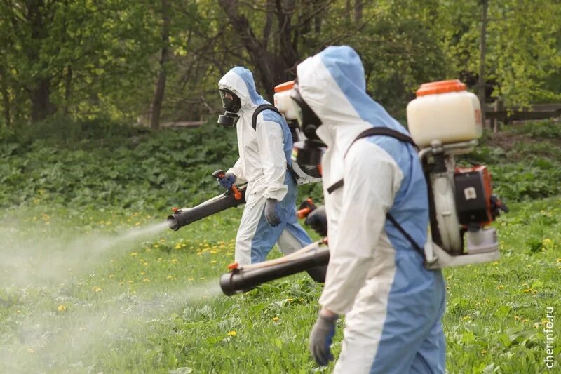 Обработка территории от клещей. Противоклещевая обработка территории. Обработка от клещей. Обработка участков от клещей. Акарицидная обработка территории от клещей.