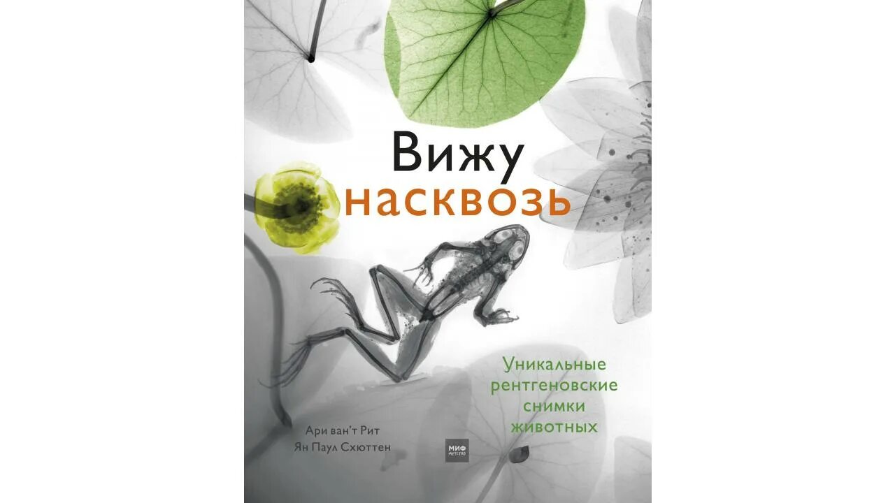 Книга я вижу о чем вы думаете. Вижу вас насквозь книга. Видеть насквозь. Вижу насквозь 2017.