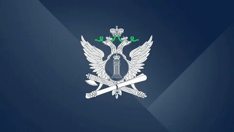Федеральная служба исполнения судебных решений