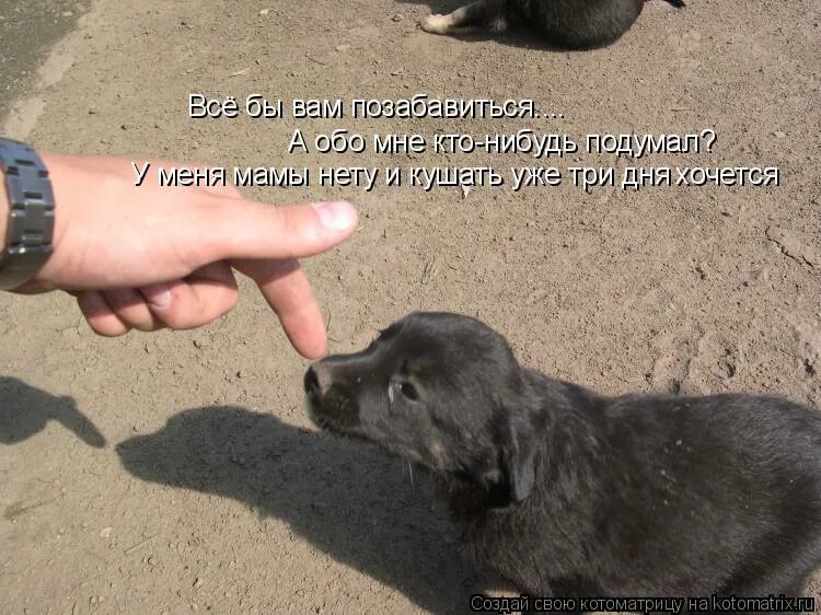 Высказывания паоло коэльо мудрые. Цитаты одиноких мужчин. Подумай как нибудь. Говори что думаешь. Высказывания паоло коэльо о жизни.