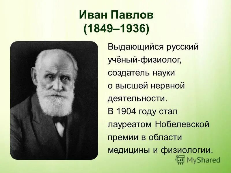 Сообщение вклад отечественных ученых