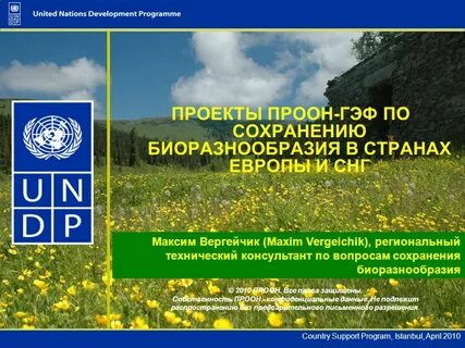 Проон