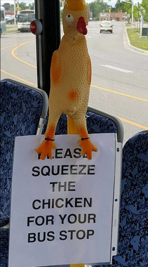 Открой курочек. Курица в автобусе. Резиновая курица прикол. Нажмите на курицу если вам надо выйти. Курица в маршрутке.