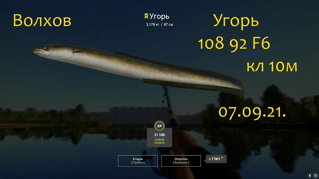 Русская рыбалка 4: Угорь на Старом Остроге - YouTube