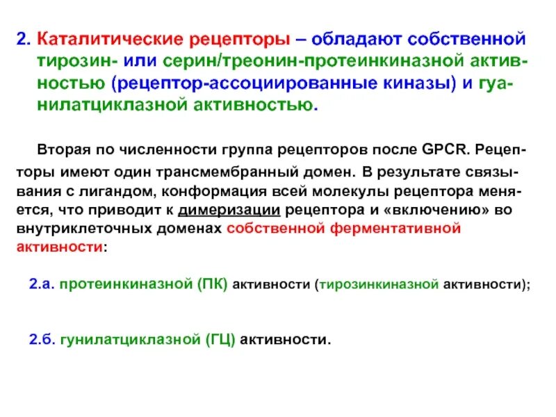 Каталитической активностью обладает. Каталитические рецепторы. Рецептор инсулина обладающий каталитической активностью. Рецепторы с каталитической активностью. Каталитические рецепторы строение.