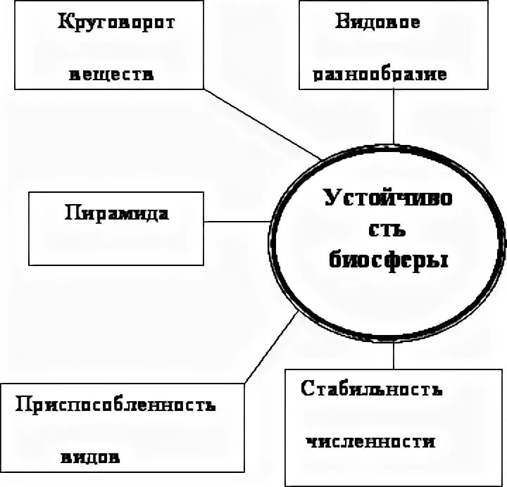 Основой устойчивости биосферы является. Основой устойчивости биосферы является