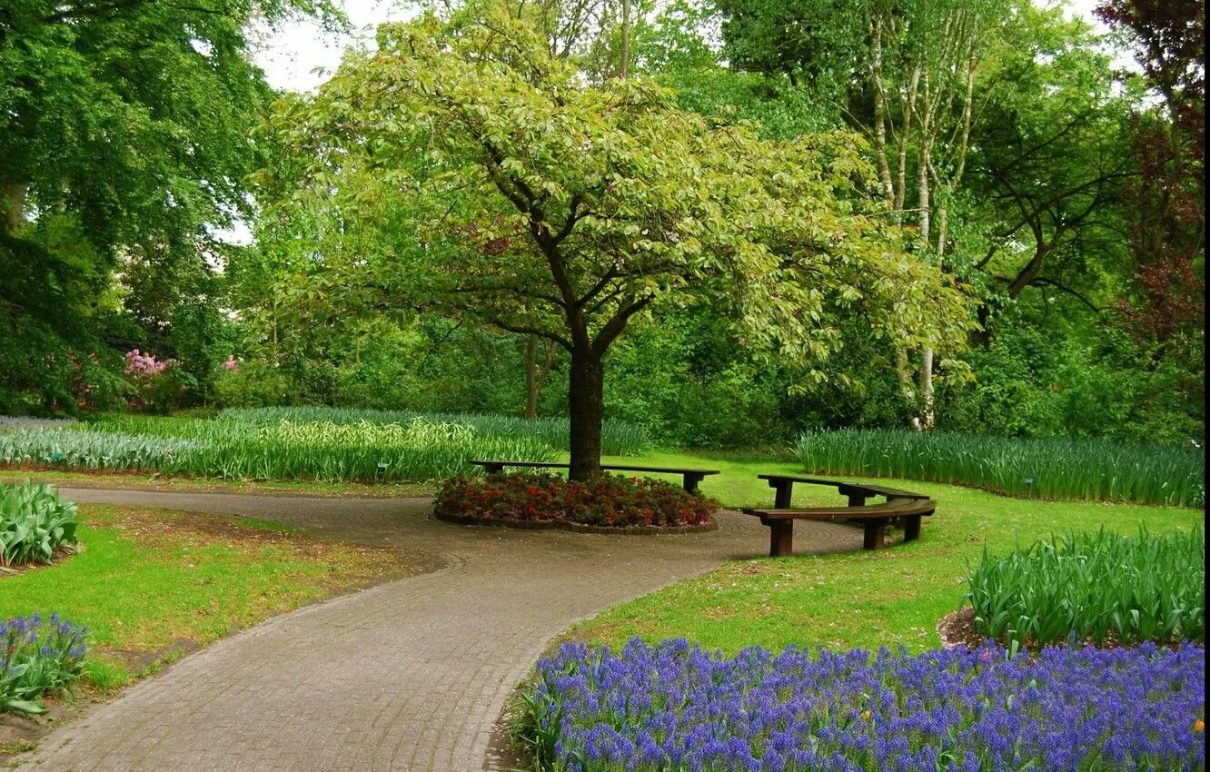 Весенний сад (Spring Topiary Garden). Грин Гарден парк. Парку «сад Григорія Сковороди».. Пейзажный парк. Красивый парк рядом