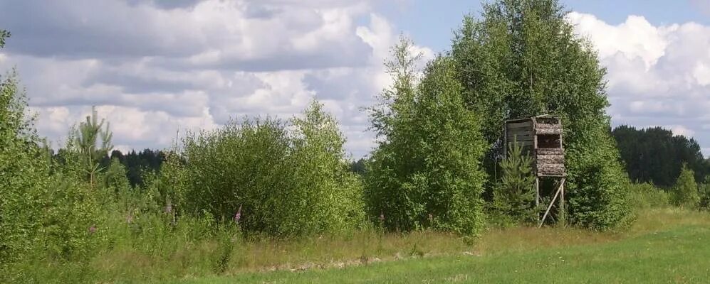 Куракино вологодская область. Куракино вологодская область. Замок куракино сердобск. Усадьба куракина надеждино. Куракино вологодская область.