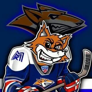Хк металлург steel fox