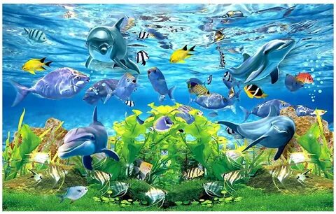 Дельфины море рыбы