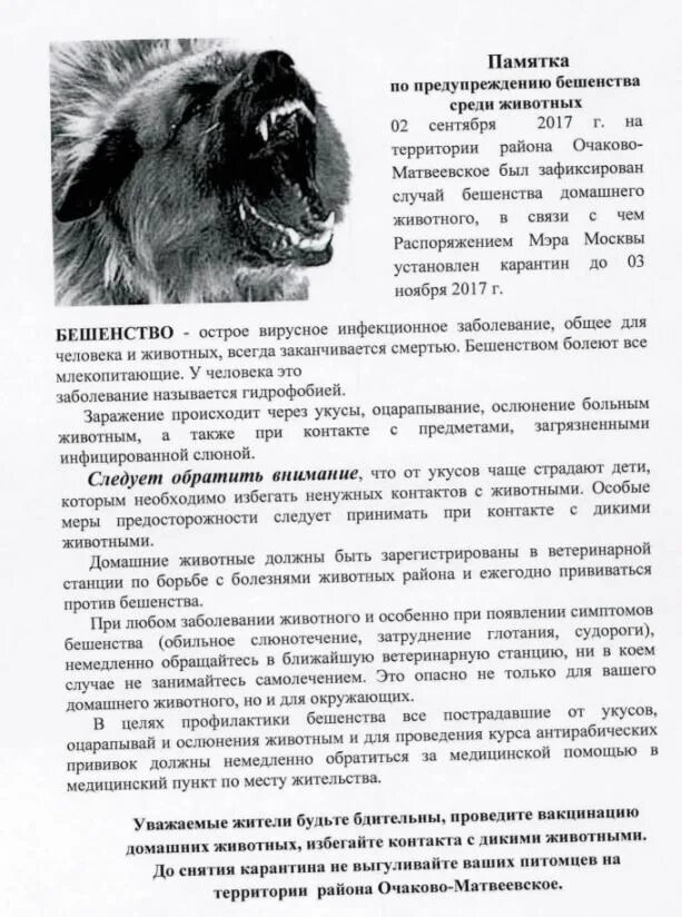 Памятка по предупреждению бешенства среди животных. Мероприятия по профилактике бешенства. Профилактика бешенства. Профилактика бешенства у собак. Бешенство памятка.
