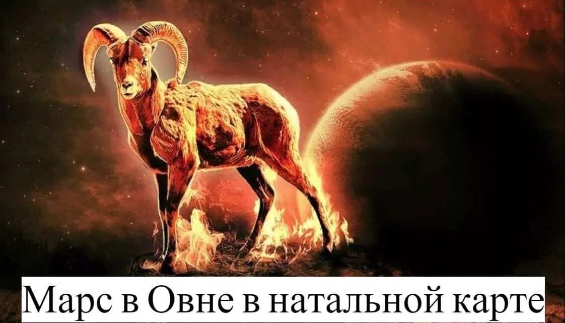 Марс в овне в домах. Марс в овне в домах. Управитель 10 в 10 доме. Марс в овне в домах. Знак девы в астрологии.
