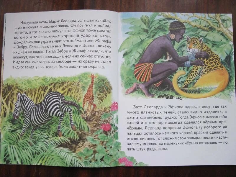 Назовите весьма любознательного героя редьярда киплинга. Назовите весьма любознательного героя редьярда киплинга