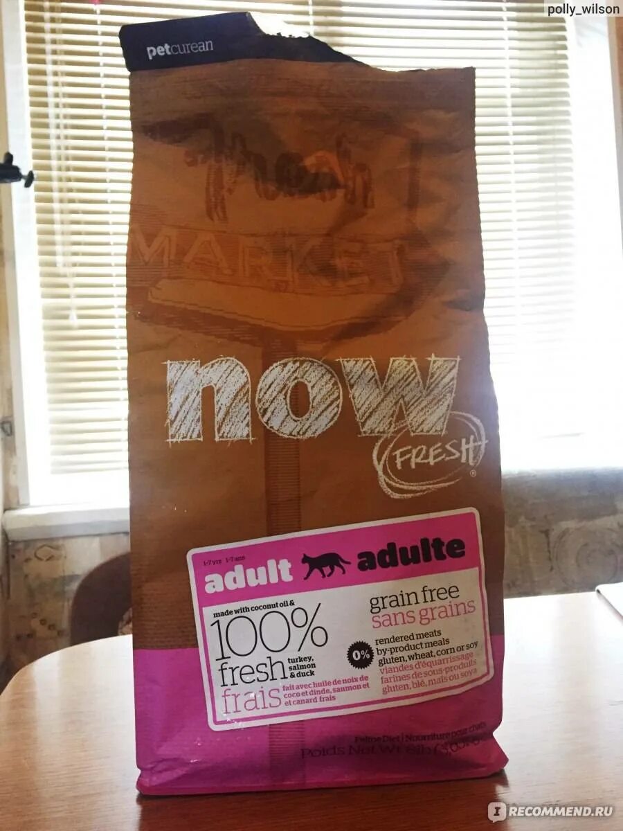 Now корм для кошек. Кошачий корм now fresh. now natural holistic для кошек. now fresh корм для котят. now fresh корм для кошек состав.