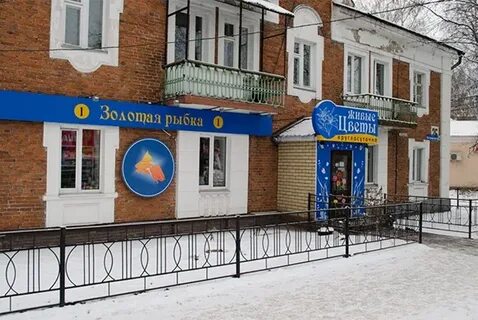 Магазин рыбка череповец
