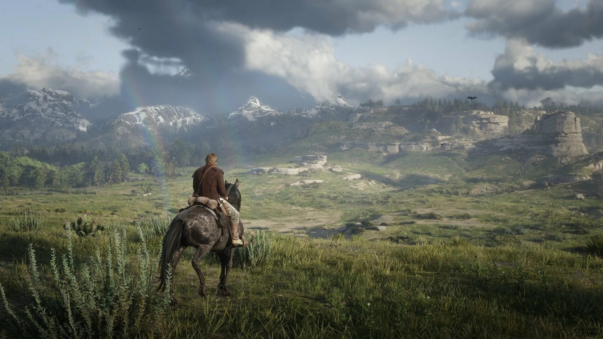 Rdr 2 graphic